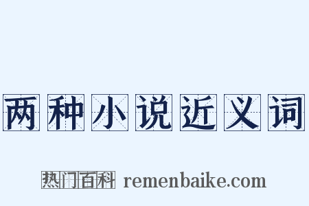 两种小说近义词是什么意思的图片